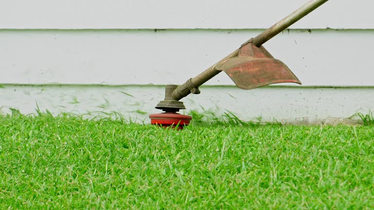 Best Lawn Maintenance Plans  in Dover, NH