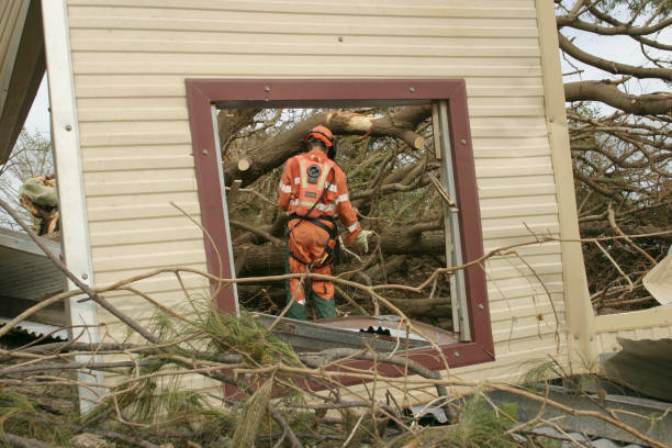 Best Arborist Consultation Services  in Dover, NH