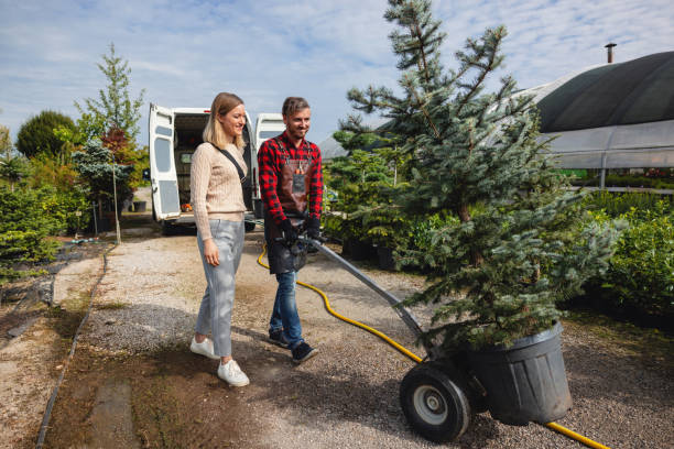 Best Lawn Mowing  in Dover, NH